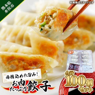 丹精込めた旨み!お肉たっぷり餃子 100個セット