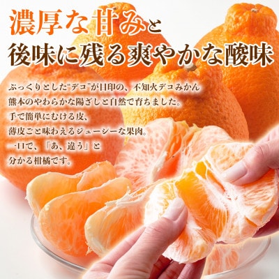 不知火 デコみかん(デコポンと同品種)5～10玉 約2kg(水俣市)