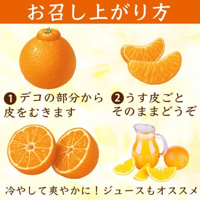 不知火 デコみかん(デコポンと同品種)6～15玉 約3kg(水俣市)