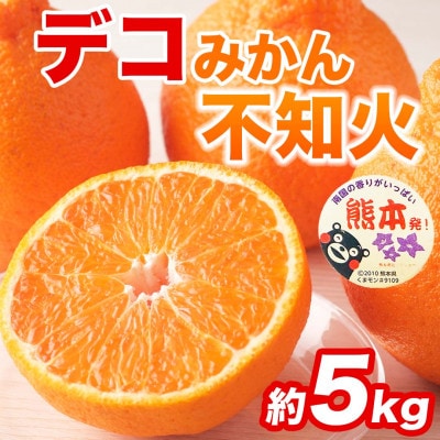 不知火 デコみかん(デコポンと同品種)12～24玉 約5kg(水俣市)