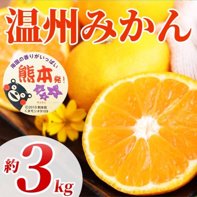 温州みかん 2S～2L 約3kg(水俣市)