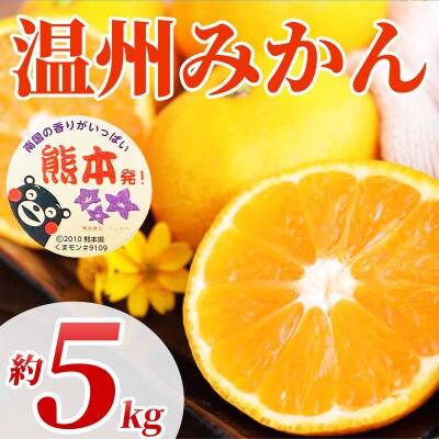 温州みかん 2S～2L 約5kg(水俣市)