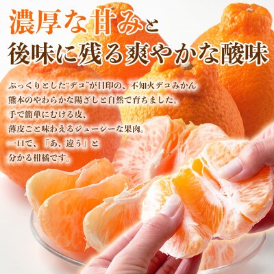 不知火 デコみかん(デコポンと同品種)18～39玉 約8kg (水俣市)