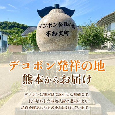 デコポン 6～13玉 約3kg (水俣市)