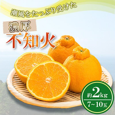 潮風をたっぷり受けた濃厚不知火 7～10玉(約2kg)(水俣市)