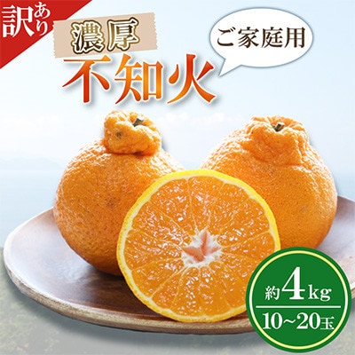 【訳あり】ご家庭用 濃厚不知火 10～20玉(約4kg)(水俣市)