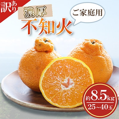 【訳あり】ご家庭用 濃厚不知火 25～40玉(約8.5kg)(水俣市)