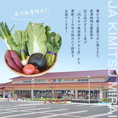 JAきみつ味楽囲さだもと店　旬の野菜詰め合わせ
