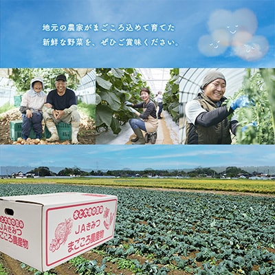 JAきみつ味楽囲さだもと店　旬の野菜詰め合わせ