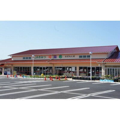 【令和7年度産】君津市産こしひかり　精米　5kg×1袋