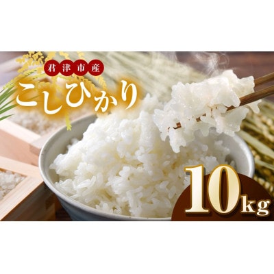 【令和7年度産】君津市産こしひかり　精米　10kg(5kg×2袋)