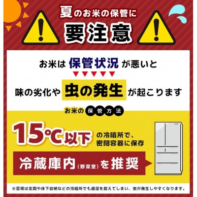 【令和7年度産】君津市産こしひかり　精米　10kg(5kg×2袋)