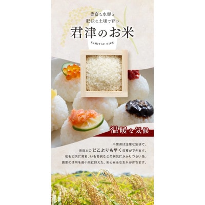 【令和7年度産】君津市産ふさこがね　精米　10kg(5kg×2袋)