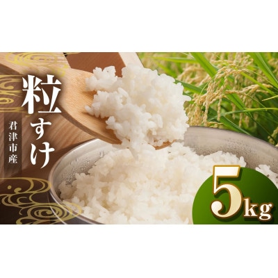 【令和7年度産】君津市産粒すけ　精米　5kg×1袋