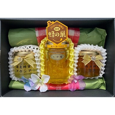はちみつ工房 巣蜜入り蜂蜜付き蜂蜜ギフト3点セット お礼品詳細 ふるさと納税なら さとふる