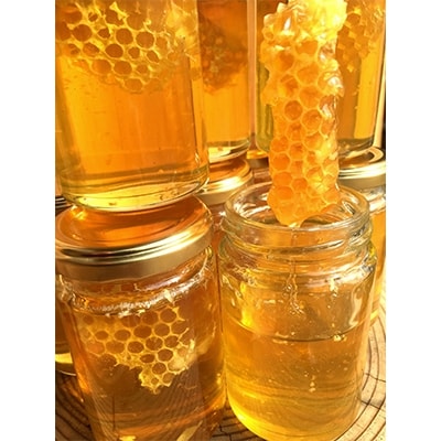 【はちみつ工房】巣蜜(コムハニー)蜂蜜ギフト7点セット