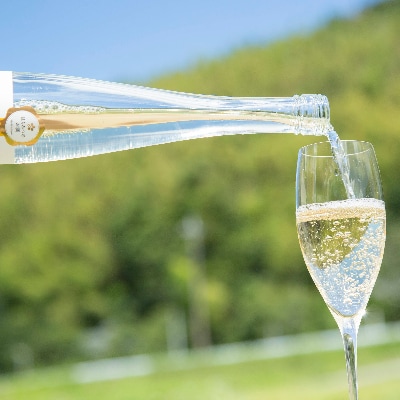 蜂蜜のお酒「ミード」375ml 2本セット プレーン&オレンジ蜂蜜