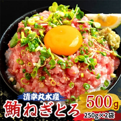 清幸丸水産　鮪ねぎとろ500g(250g×2袋)　★メディアでも紹介
