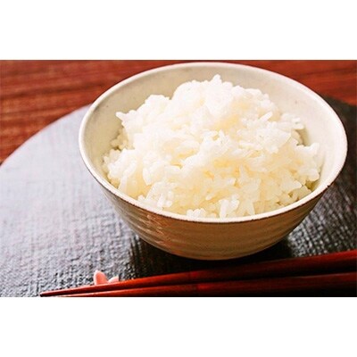 【2023年4月中旬発送】千葉・上総千年米コシヒカリ　5kg