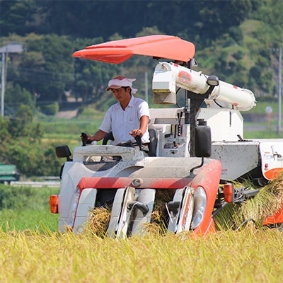 千葉・上総千年米コシヒカリ　5kg
