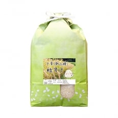 【新品種】千葉・粒すけ　5kg(大つぶ)