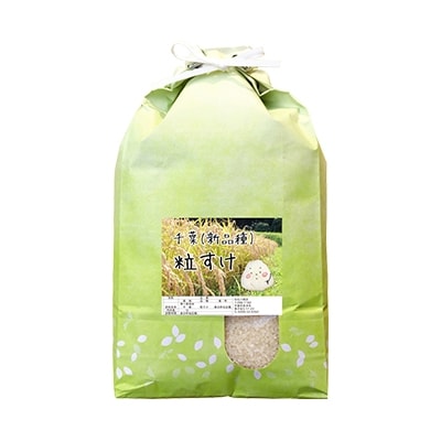 【新品種】千葉・粒すけ 10kg(大つぶ)