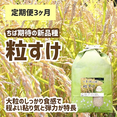 2023年1月発送開始『定期便』【新品種】千葉・粒すけ　5kg(大つぶ)全3回