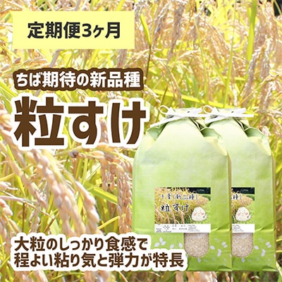 2022年11月発送開始『定期便』【新品種】千葉・粒すけ　10kg(大つぶ)全3回