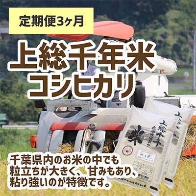 2023年2月発送開始『定期便』千葉・上総千年米コシヒカリ　10kg全3回