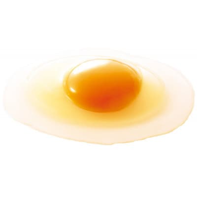 久留里のたまご 10個とプリン3個 セット 