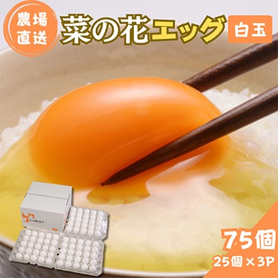 菜の花エッグ 白玉 75個 (25個入り×3パック)