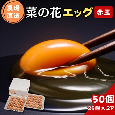 菜の花エッグ 赤玉 50個 (25個入り×2パック)