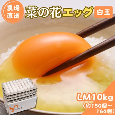 菜の花エッグ 白玉 LM10kg(約150～164個)