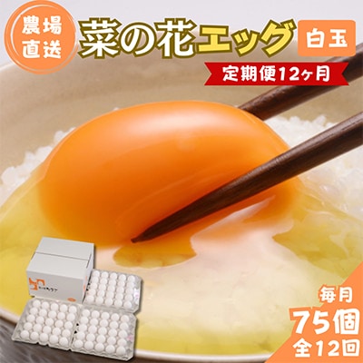 【毎月定期便】菜の花エッグ 白玉 75個 (25個入り×3パック) 全12回