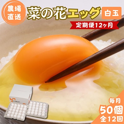 【毎月定期便】菜の花エッグ 白玉 50個 (25個入り×2パック) 全12回