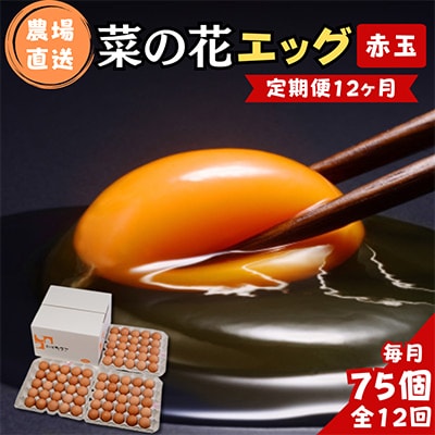 【毎月定期便】菜の花エッグ 赤玉 75個 (25個入り×3パック) 全12回