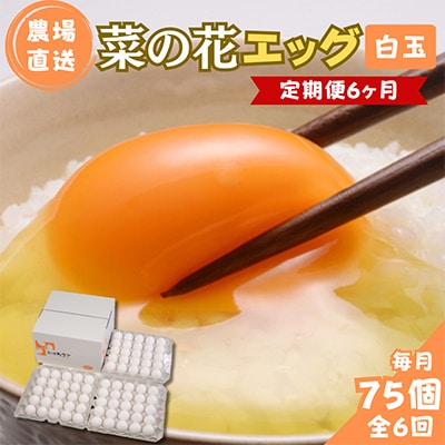 【毎月定期便】菜の花エッグ 白玉 75個 (25個入り×3パック) 全6回