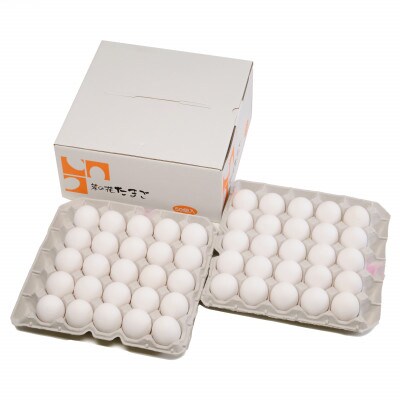 【毎月定期便】菜の花エッグ 白玉 50個 (25個入り×2パック) 全6回