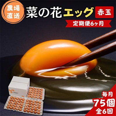 【毎月定期便】菜の花エッグ 赤玉 75個 (25個入り×3パック) 全6回