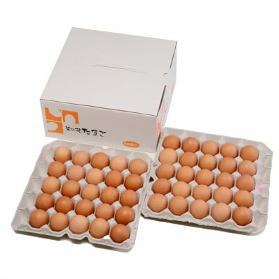 【毎月定期便】菜の花エッグ 赤玉 50個 (25個入り×2パック) 全6回