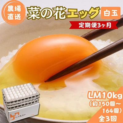 【毎月定期便】菜の花エッグ 白玉 LM10kg(約150〜164個) 全3回
