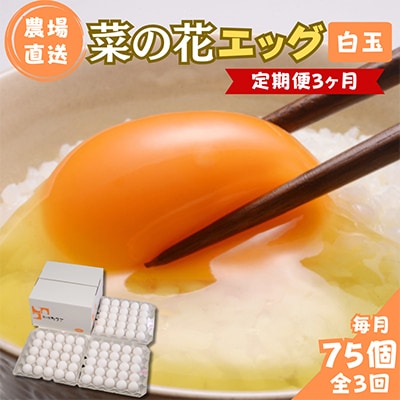 【毎月定期便】菜の花エッグ 白玉 75個 (25個入り×3パック) 全3回