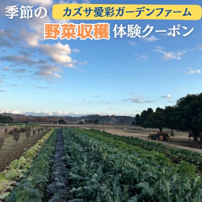 【会員制貸農園お試し】 「カズサ愛彩ガーデンファーム」季節の野菜収穫体験クーポン