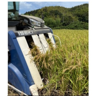 君津市小山野産「山名郷米」2種食べ比べセット　コシヒカリと粒すけ 各2Kg 無洗米