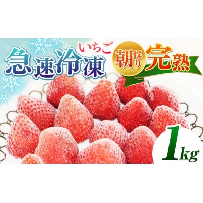 渡邉いちご園  完熟・急速冷凍いちご 1kg