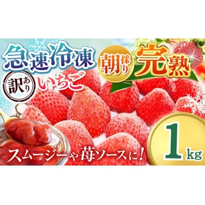 渡邉いちご園 【訳あり】完熟・急速冷凍いちご 1kg