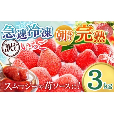 渡邉いちご園 【訳あり】完熟・急速冷凍いちご 3kg