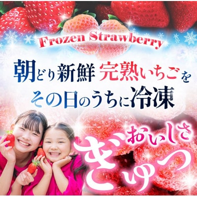 渡邉いちご園 【訳あり】完熟・急速冷凍いちご 3kg