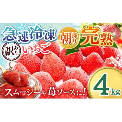 渡邉いちご園 【訳あり】完熟・急速冷凍いちご 4kg