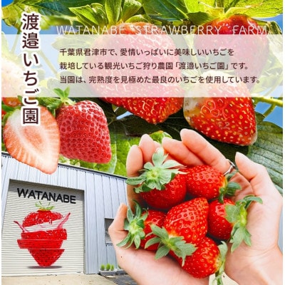 渡邉いちご園 【訳あり】完熟・急速冷凍いちご 4kg
